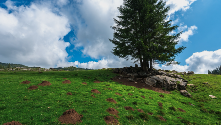 Inflation: A Molehill, Not a Mountain